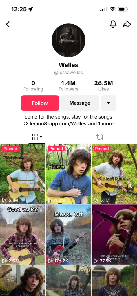 Folk singer Jesse Welles is bringing back protest music on social media